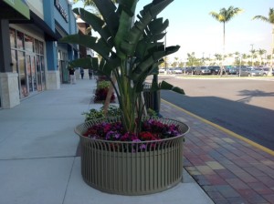 The Marketplace at Palm Beach Outlets