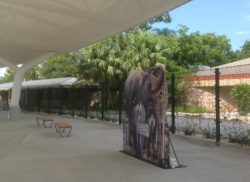Miami Zoo – front entry