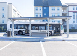 View Flamingo Crossings Bus Shelters Project